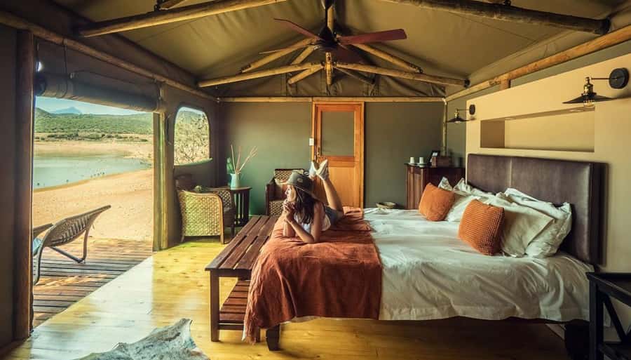 Cape Town: 2-Day Wildlife Tour with Safaris and Luxury Stay - What This Two-Day Safari Really Is