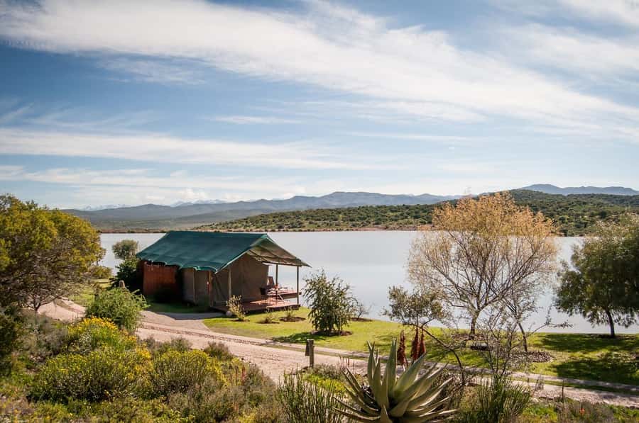 Cape Town: 2-Day Wildlife Tour with Safaris and Luxury Stay - Route 62: The Long Way Back