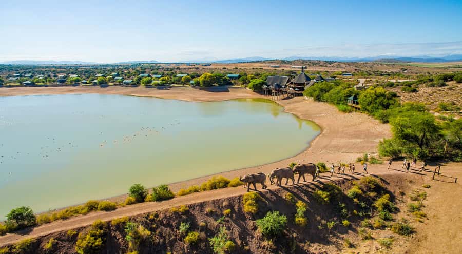 Cape Town: 2-Day Wildlife Tour with Safaris and Luxury Stay - Botlierskop’s Two-Hour 4x4 Game Drive