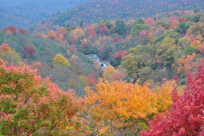 Carolina Waterfalls and Highlands Private VIP Boutique Tour - Whitewater Falls: the biggest scale
