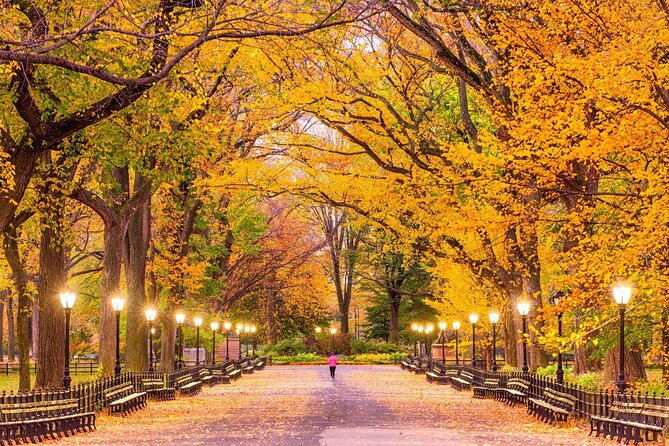 Carriage Ride in Central Park (VIP - PRIVATE) Since 1964™ - Key points to know before booking