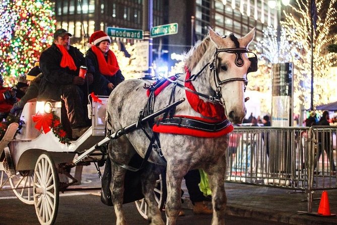 Carriage Ride in Central Park (VIP - PRIVATE) Since 1964™ - A quiet way to see New York’s most famous park