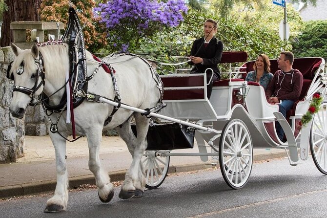Carriage Ride in Central Park (VIP - PRIVATE) Since 1964™ - Literary Mall, Balto, and the Boat Pond