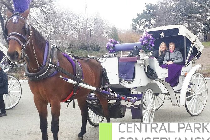 Carriage Ride in Central Park (VIP - PRIVATE) Since 1964™ - Guides, horses, and the human touch
