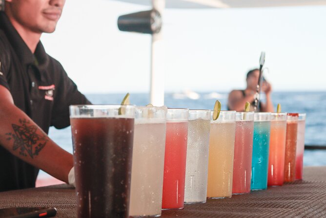 Catamaran - Luxury Private Tour - Fajitas, Rice, Beans, and a Full Drink Menu