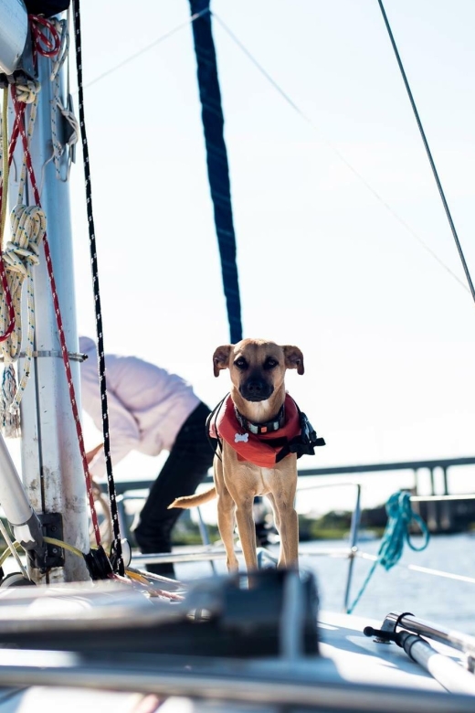 Charleston: Private BYOB Luxury Yacht Cruise - Key points to know before booking