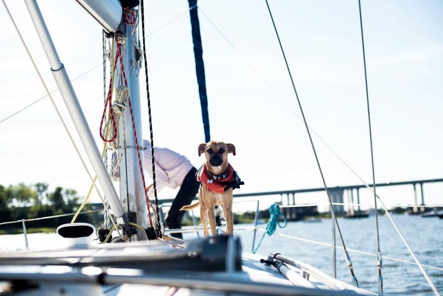 Charleston: Private BYOB Luxury Yacht Cruise - Daytime or sunset: choosing the right departure