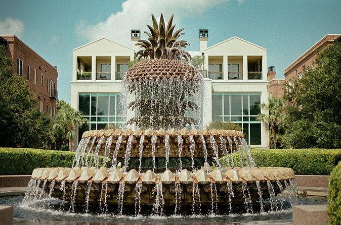 Charleston Style VIP Tour - Choosing Boone Hall or McLeod for the final three hours