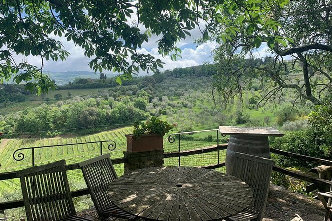 Chianti Vineyards Tours in Private Luxury Van from Florence - Greve in Chianti starts the food story
