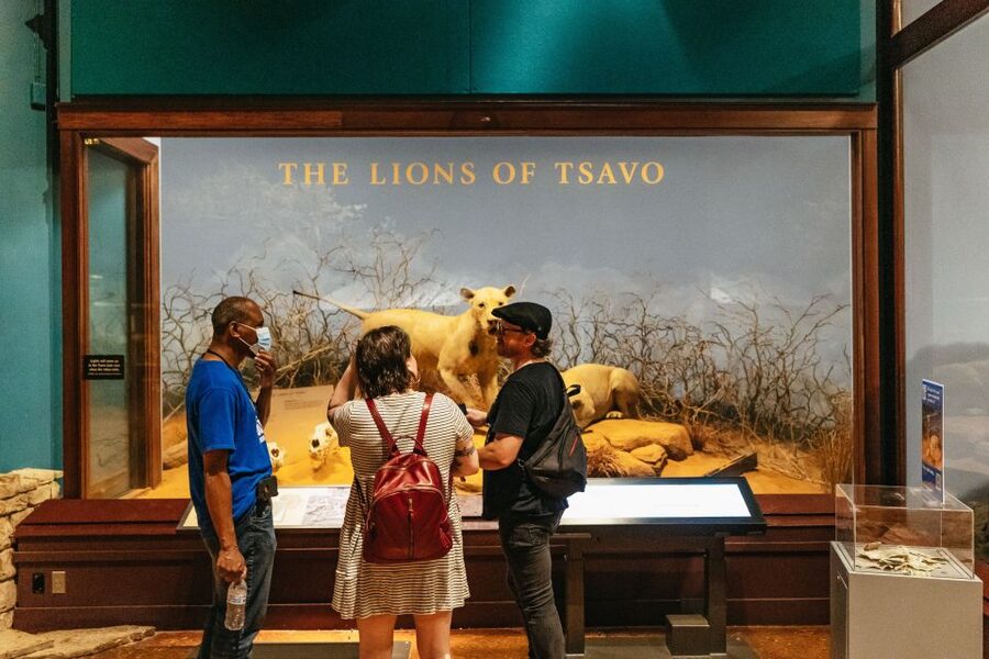 Chicago: Field Museum of Natural History Ticket or VIP Tour - Sue, Maximo, and the best first hour
