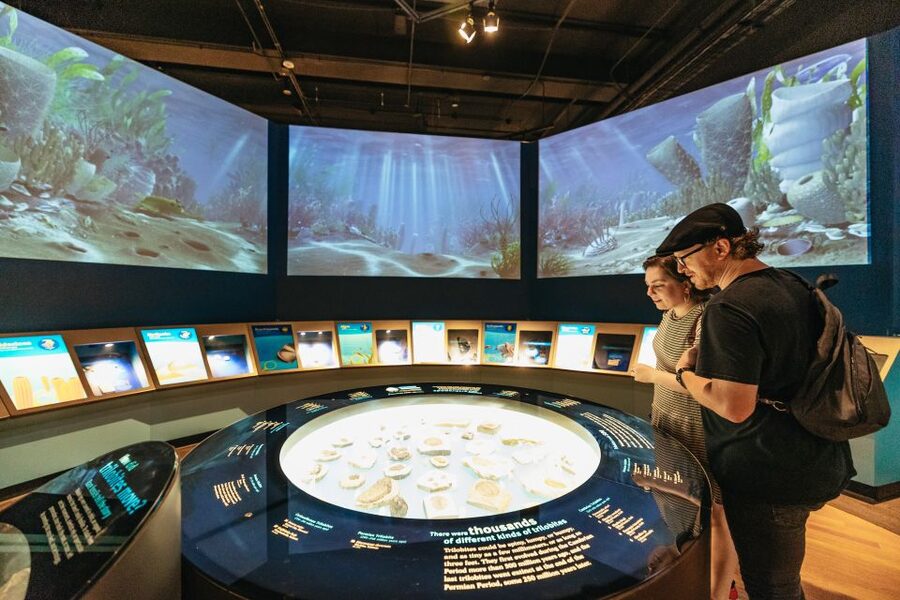 Chicago: Field Museum of Natural History Ticket or VIP Tour - FAQ