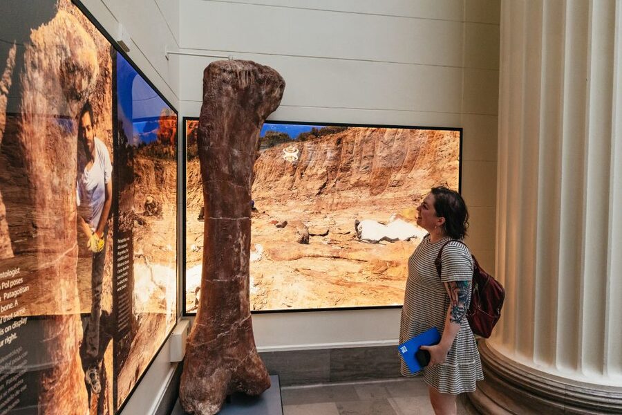 Chicago: Field Museum of Natural History Ticket or VIP Tour - Africa, the Lions of Tsavo, and difficult displays