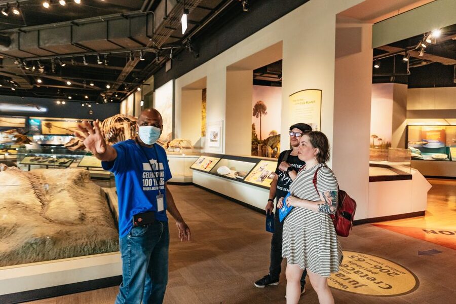 Chicago: Field Museum of Natural History Ticket or VIP Tour - Gems, jade, and life below ground