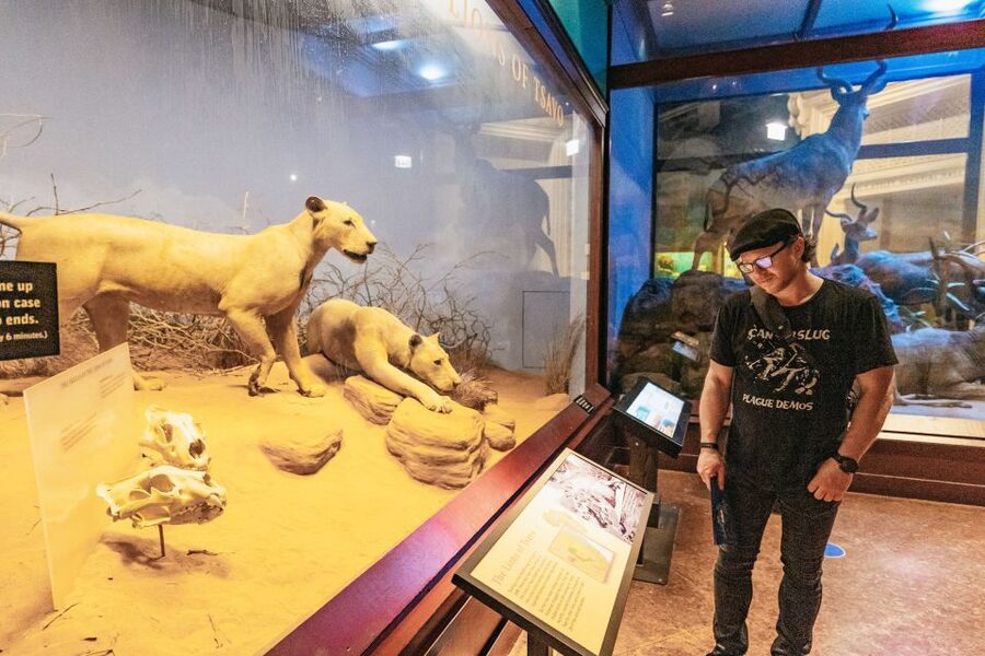 Chicago: Field Museum of Natural History Ticket or VIP Tour - Food, parking, crowds, and comfort