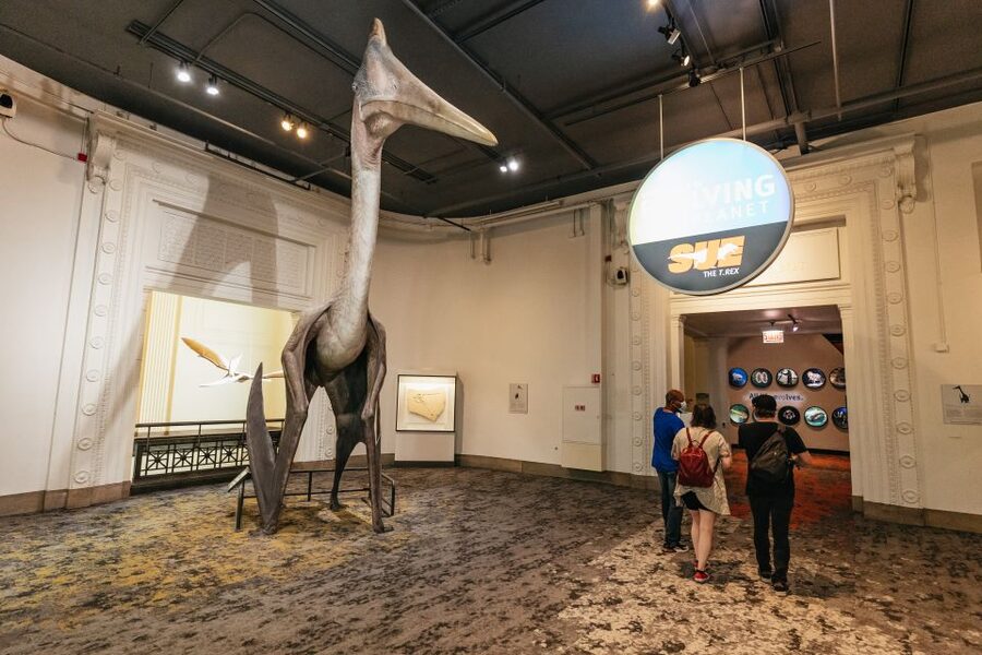 Chicago: Field Museum of Natural History Ticket or VIP Tour - Should you book the Field Museum experience?