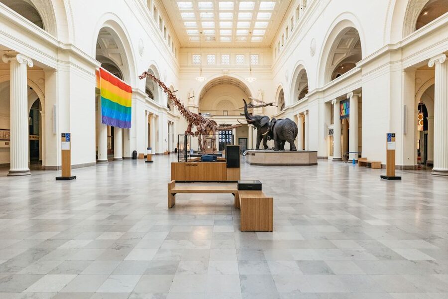 Chicago: Field Museum of Natural History Ticket or VIP Tour - Ancient Egypt and the only full-sized mastaba complex outside Egypt