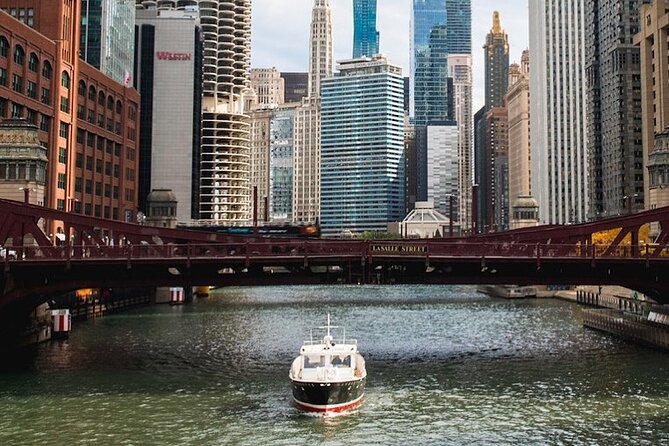 Chicago Luxury Minibus City Tour and Architecture River Cruise - What the minibus guide adds