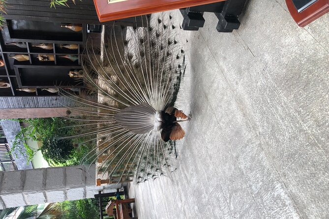 Chongqing Luxury Hot Spring and Massage Luxury Meal Private Tour - An unlimited meal with 30 luxury dishes