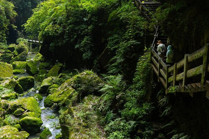 Chongqing Wulong: All inclusive luxury private trip to 2 spots - Lunch, local food, and a useful pause