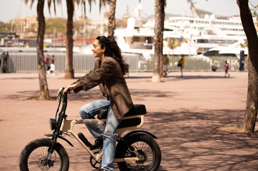 City Highlight Tour on a Luxury (electrical) Fatbike - Arc de Triomf and the Sagrada Família area