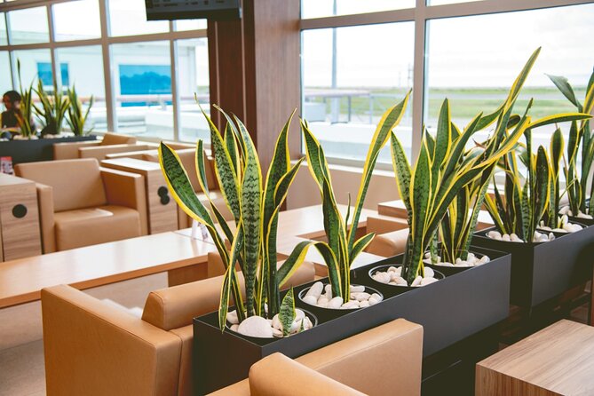 Club Mobay Sangster Airport VIP Lounge with Priority Entry - Who gets the most value for $37.50?
