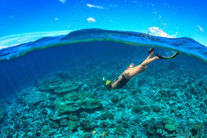 Cozumel Luxury Sailing & Snorkeling Cruise Experience - Lunch, open bar, and the value of the $139 price