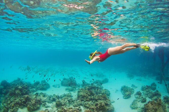 Cozumel Luxury Sailing & Snorkeling Cruise Experience - The most important choice: Cozumel or Riviera Maya