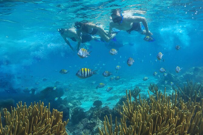 Cozumel Luxury Sailing & Snorkeling with Lunch and Open Bar Onboard - Swimming, paddleboards, and the best pause of the day