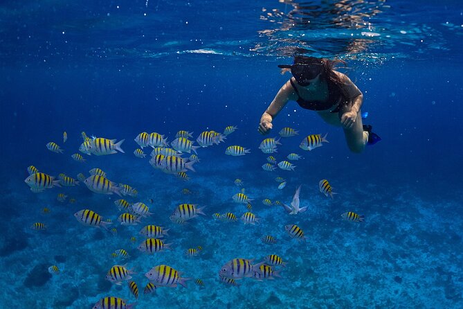 Cozumel Luxury Sailing & Snorkeling with Lunch and Open Bar Onboard - Crossing to Cozumel by ferry