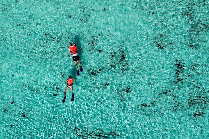 Cozumel: VIP Access Pass at KUZÁ Beach & Adventure Park - Music, games, and cultural shows between swims