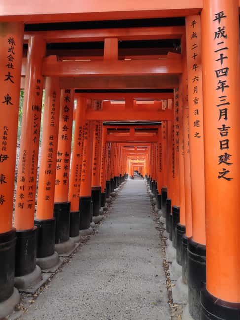 Craig's Kyoto Private Luxury Alphard Tour / The Early Riser - Kinkakuji, Ryoanji, and the famous northern temples