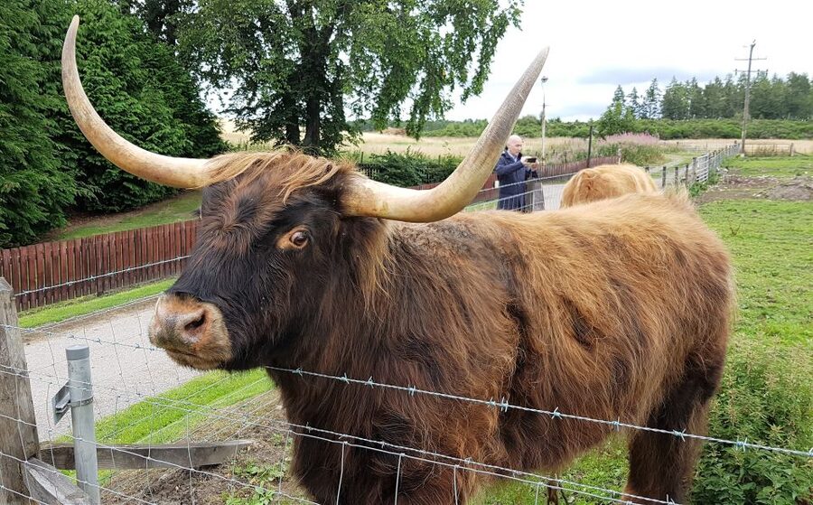 Craigs Luxury Speyside Private Whisky Tour - Speyside Cooperage and extra stops