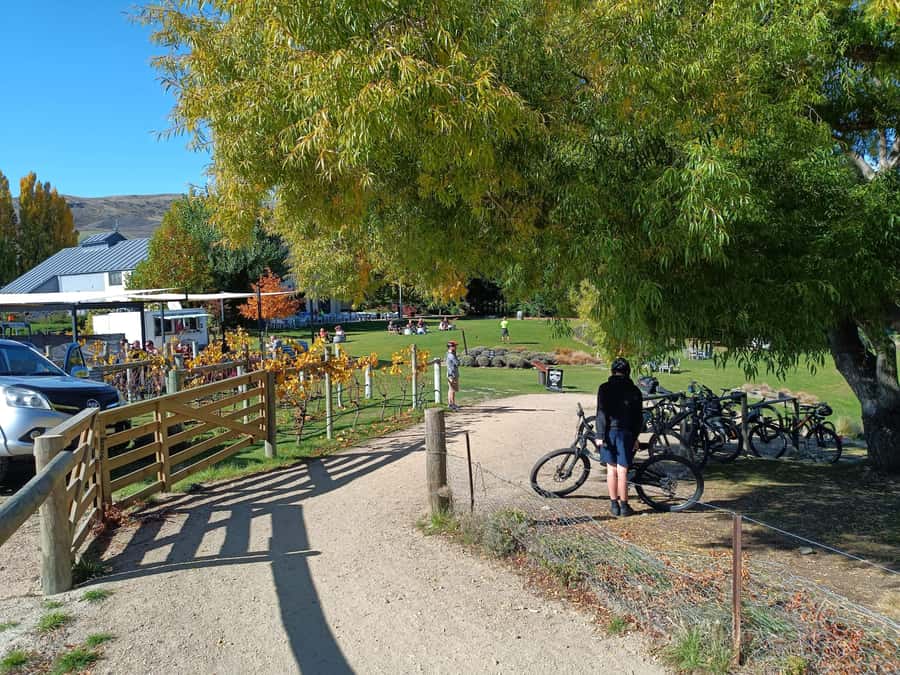 Cromwell: Lake Dunstan Trail Bike Rental and Luxury Shuttle - What the $107 price covers