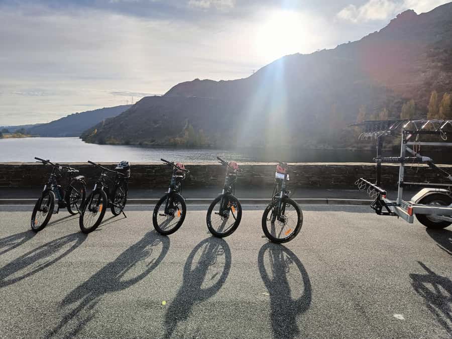 Cromwell: Lake Dunstan Trail Bike Rental and Luxury Shuttle - Choosing the right bike for the route