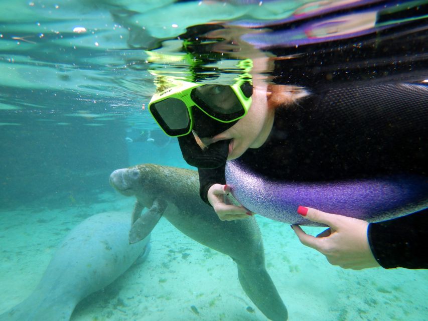 Crystal River: VIP Manatee Swim w/ In-water Photographer - Key points to know before you book