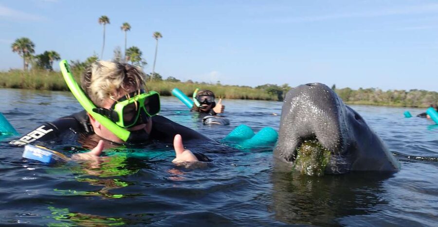 Crystal River: VIP Manatee Swim w/ In-water Photographer - Meeting your crew at King’s Bay
