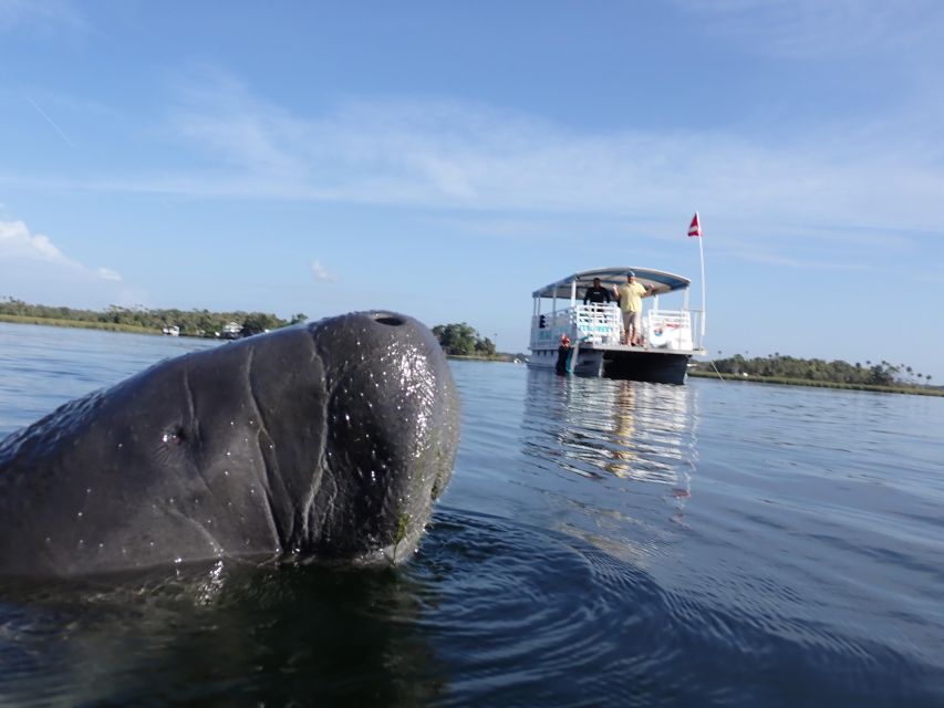 Crystal River: VIP Manatee Swim w/ In-water Photographer - Riding the covered pontoon into the refuge