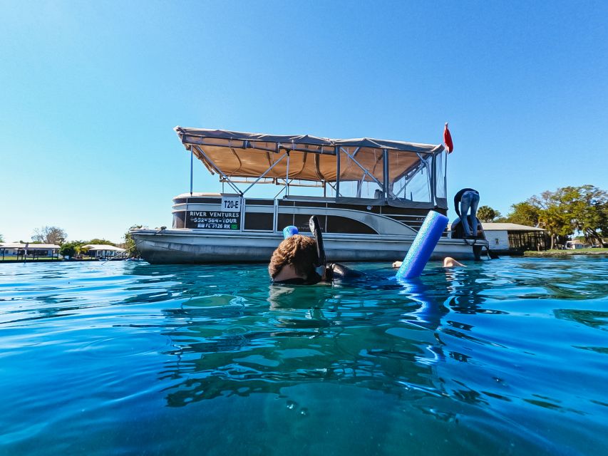 Crystal River: VIP Manatee Swim w/ In-water Photographer - Swimming with the manatees in King’s Bay