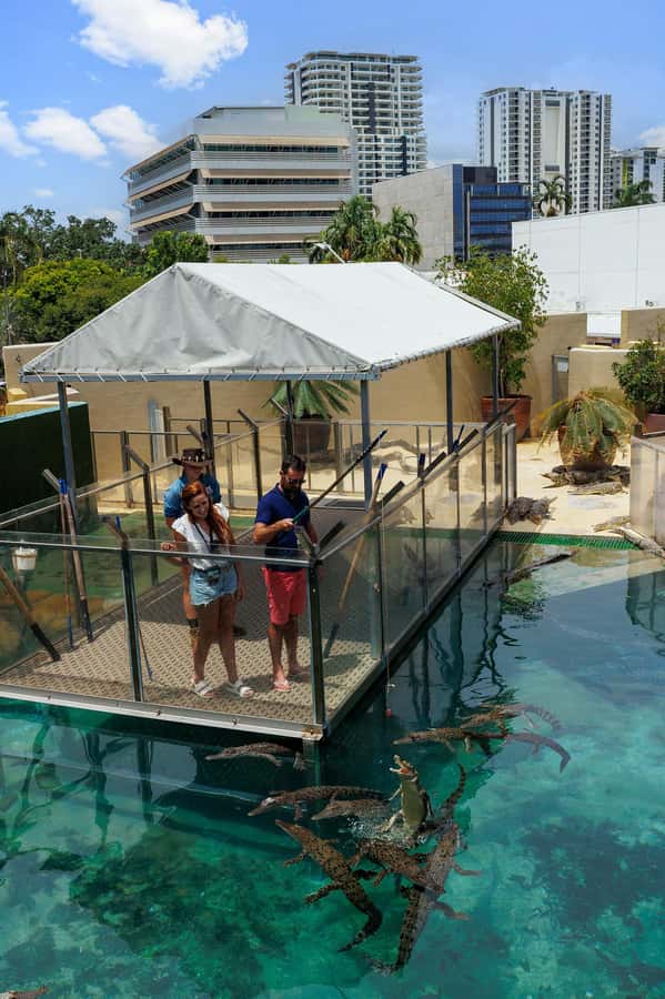 Darwin: VIP Crocosaurus Cove Experience - The value of $66 with full-day park entry