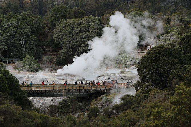 Day Tour Hobbiton + Rotorua from Auckland in Luxury Minibus - The minibus, guides, and road time