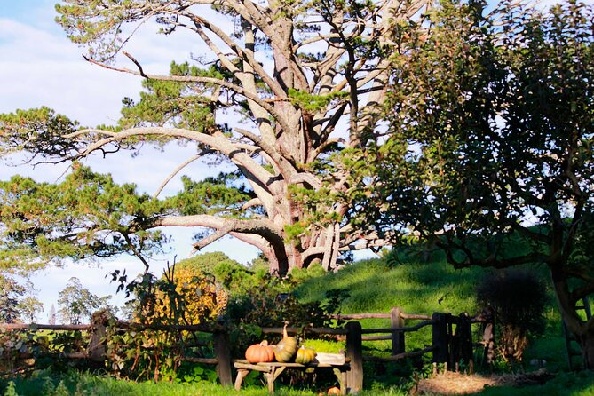 Day Tour Hobbiton + Rotorua from Auckland in Luxury Minibus - Who should book this tour?