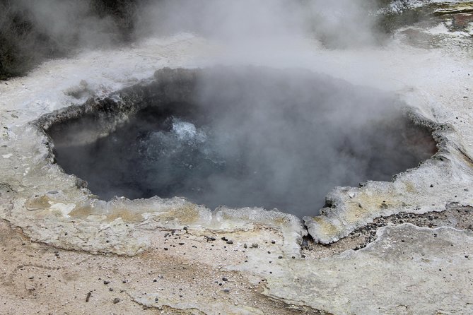 Day Tour Hobbiton + Rotorua from Auckland in Luxury Minibus - Final verdict: a strong sampler, not a relaxed day