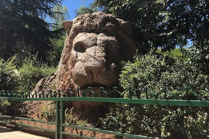 Days 2 / 1 Night In Sahara Desert From Fez To Fez ( Luxury ) - From Fez to the cedar forests of Ifrane