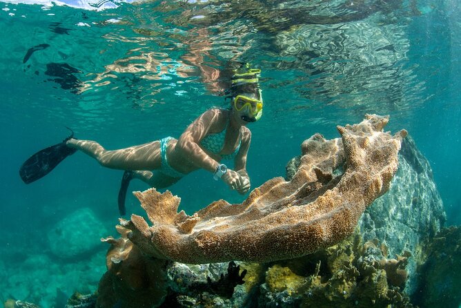 Deluxe Half-Day Snorkel Sail on Lady Grace Luxury Catamaran - The Island Beach Stop: Iguana Island And Half Moon Bay