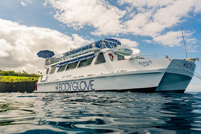 Deluxe Snorkel & Dolphin Watch Aboard a Luxury Catamaran from Kailua-Kona - A luxury catamaran day from Kailua Pier