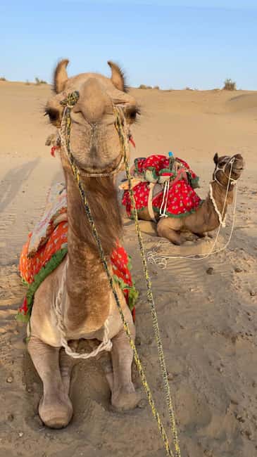 Desert Rose Jaisalmer: Luxury Tent In Thar Desert - Optional night activities and starry desert time