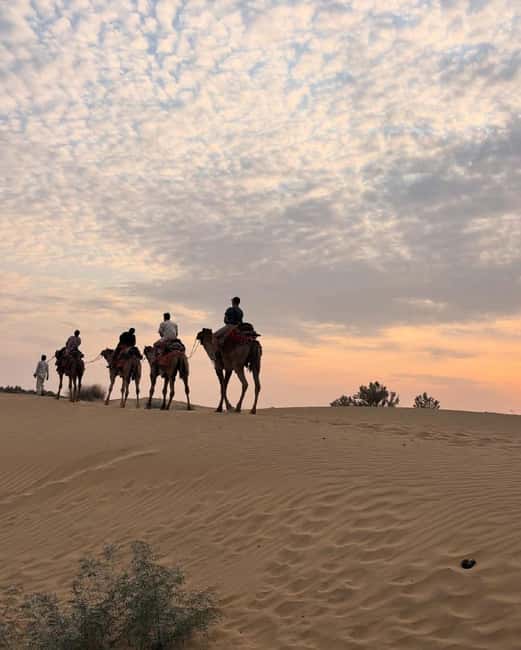 Desert Rose Jaisalmer: Luxury Tent In Thar Desert - What the $80 price really covers