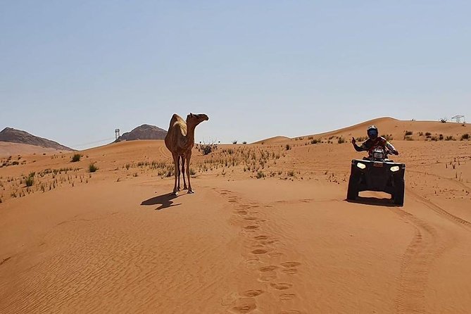 Desert Safari Dubai (PREMIUM VIP) - BBQ dinner and VIP seating at the base camp