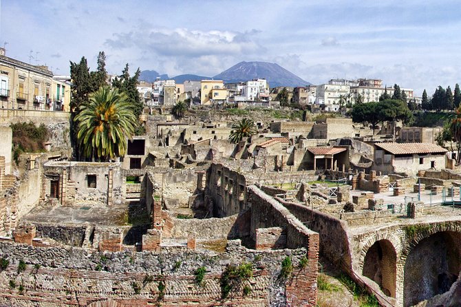 Discovering Pompeii and Herculaneum - VIP Tour with Lunch - Who will enjoy this day most?