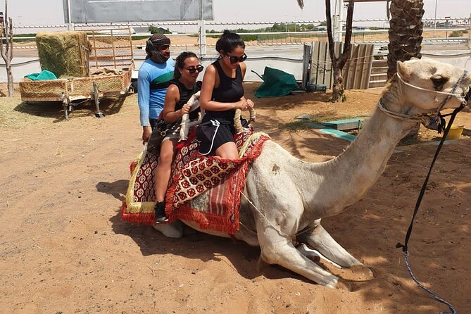 Dubai: All Inclusive Desert Safari with ATV, Camel, Horse ride, Vip & more - What the $164.50 price really covers